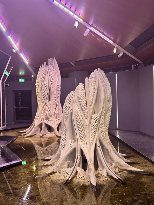 展览中的装置作品